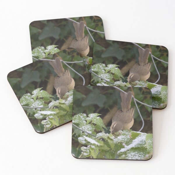 Artikelvorschau, Dusky Warbler entworfen und verkauft von LaurenTucker.