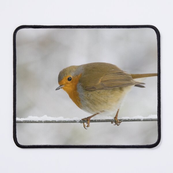 Item preview, Robin designed and sold by LaurenTucker.