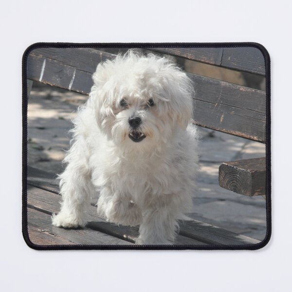 Item preview, Dog dancing  designed and sold by RedTideShop.