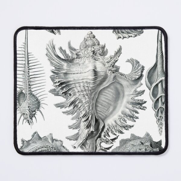 Item preview, Shell Yeah designed and sold by NaturaMorta.