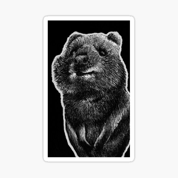 Leucism: Quokka Sticker