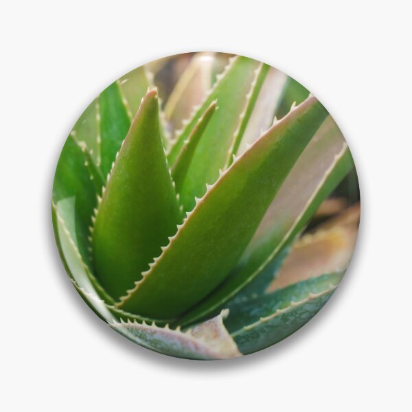 Item preview,   The Aloe Vera designed and sold by Mogul-bubble.