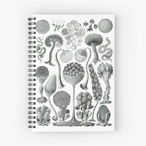 Item preview, Once Upon a Slime Mold designed and sold by NaturaMorta.