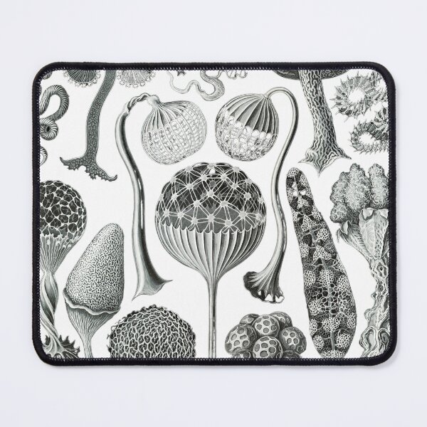 Item preview, Once Upon a Slime Mold designed and sold by NaturaMorta.