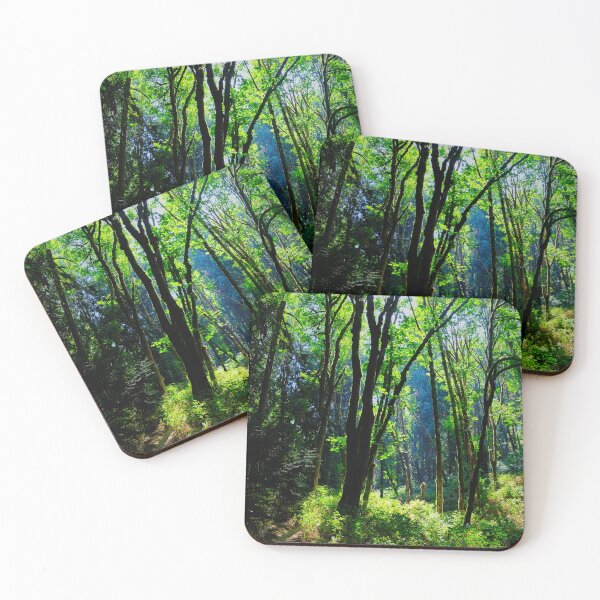 Item preview, Hiking Trail - Tryon Creek State Natural Area designed and sold by chillbilldill.