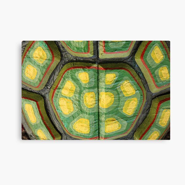 Turtle Canvas Print