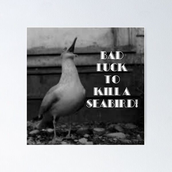 Item preview, Seabird designed and sold by marisaj4488.