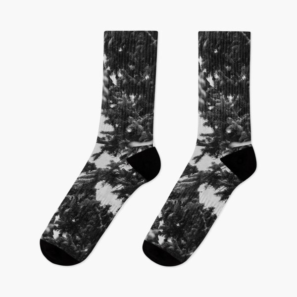 Item preview, Hiding. Northern hawk-owl bw designed and sold by Jouko Lehto Photography.