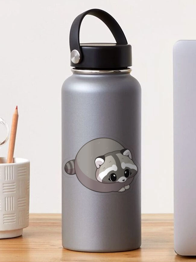 Cute Round Raccoon Sticker Funny Sticker Gifts Under 10 Water Resistant for  Water Bottle Laptop Desk Stationary Raccoon Lover 