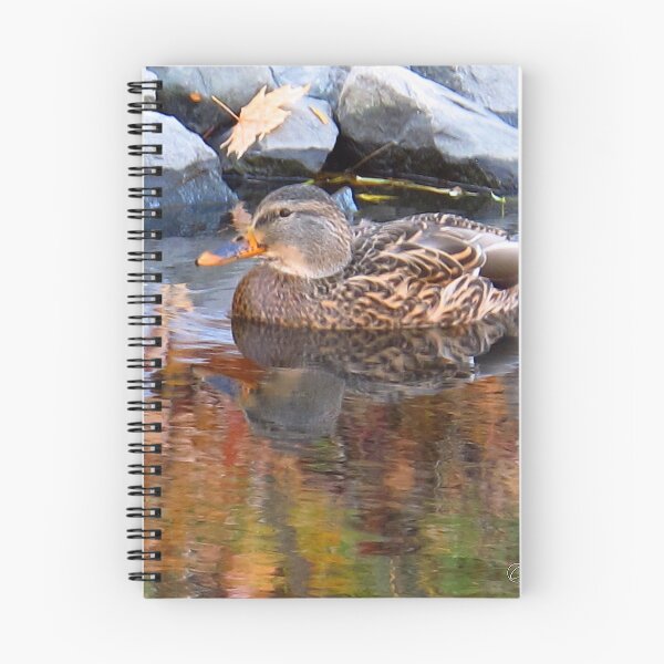 Item preview, Reflective waters designed and sold by MarianBendeth.