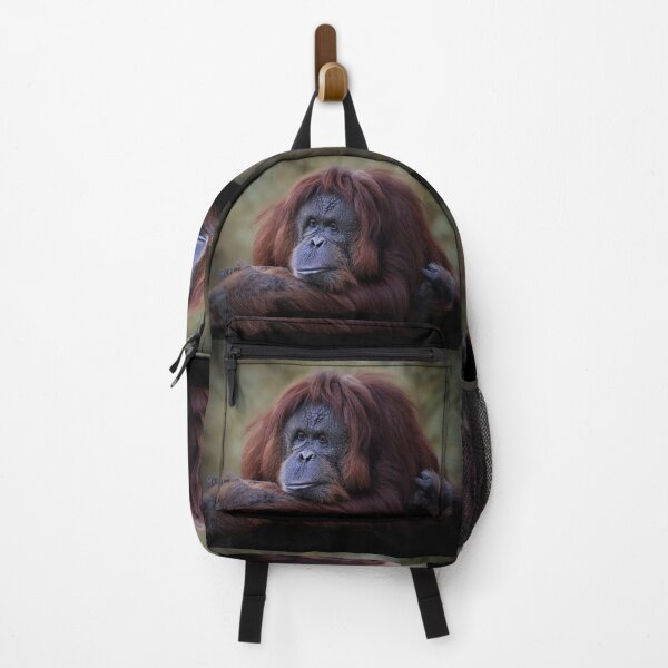 Item preview, Orangutan designed and sold by Savannah Gibbs.