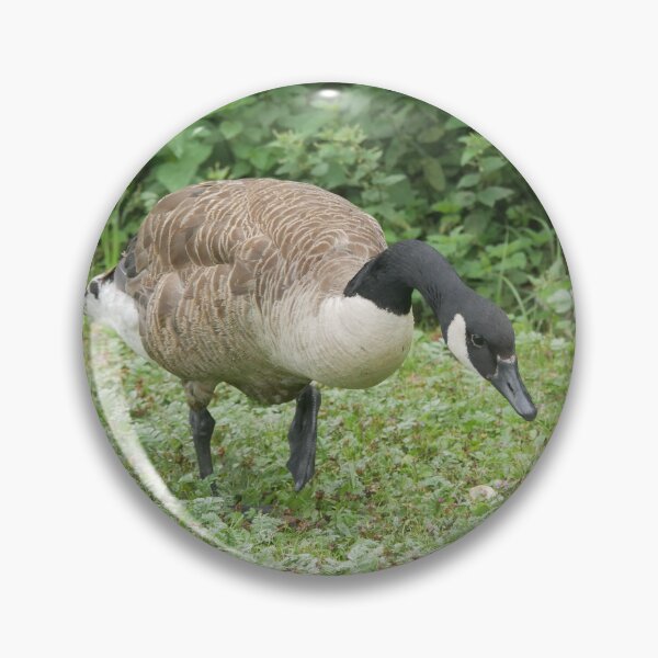 Item preview, Canda Goose  designed and sold by The-gamming-fox.