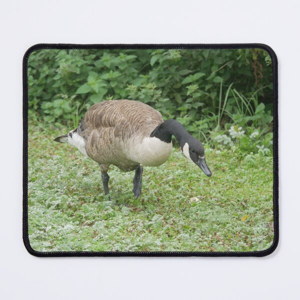 Item preview, Canda Goose  designed and sold by The-gamming-fox.