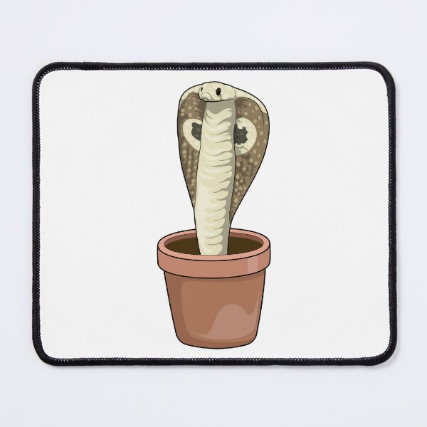 Item preview, Snake Plant pot designed and sold by Snabdesign84.