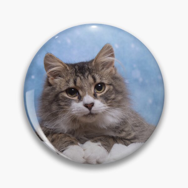 Item preview, Resting Kitty designed and sold by SMiddlebrook.