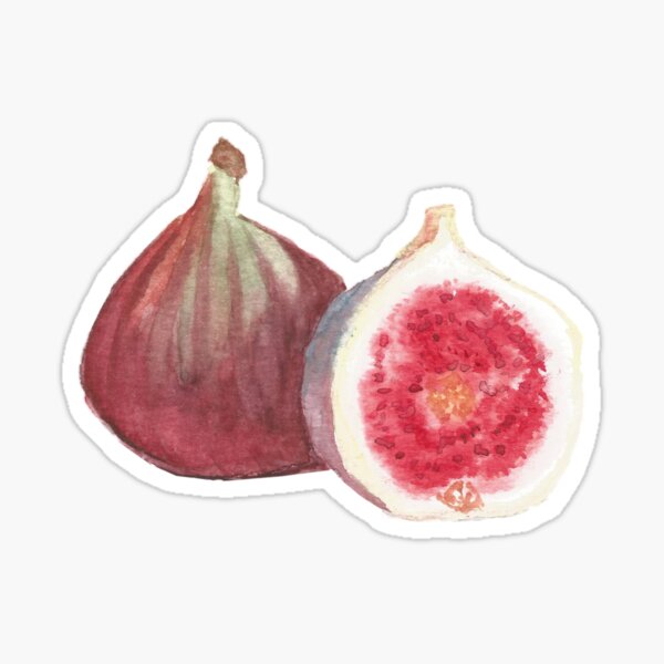 Item preview, figs watercolor painting designed and sold by raghda-s-m.