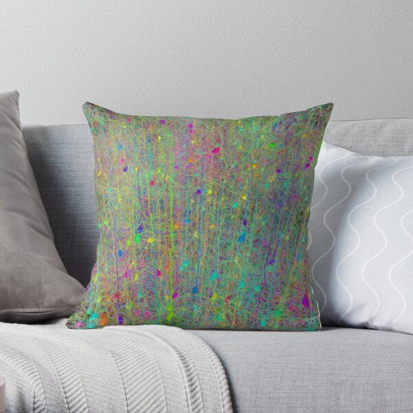 Computer simulation of the branching architecture of the dendrites of pyramidal neurons #Computersimulation #branchingarchitecture #dendrites #pyramidalneurons Throw Pillow