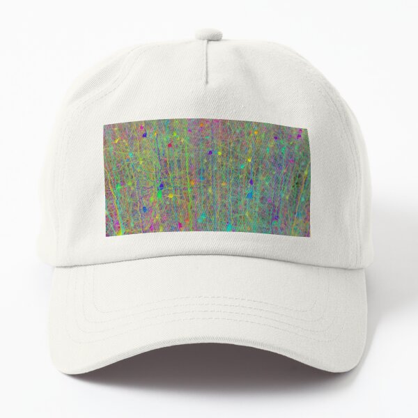 Computer simulation of the branching architecture of the dendrites of pyramidal neurons #Computersimulation #branchingarchitecture #dendrites #pyramidalneurons  Dad Hat
