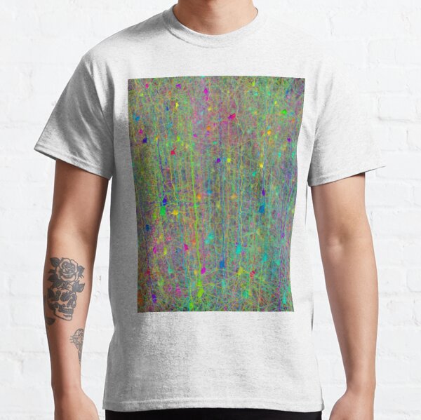 Computer simulation of the branching architecture of the dendrites of pyramidal neurons #Computersimulation #branchingarchitecture #dendrites #pyramidalneurons  Classic T-Shirt