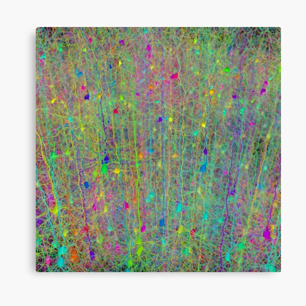 Computer simulation of the branching architecture of the dendrites of pyramidal neurons #Computersimulation #branchingarchitecture #dendrites #pyramidalneurons  Canvas Print