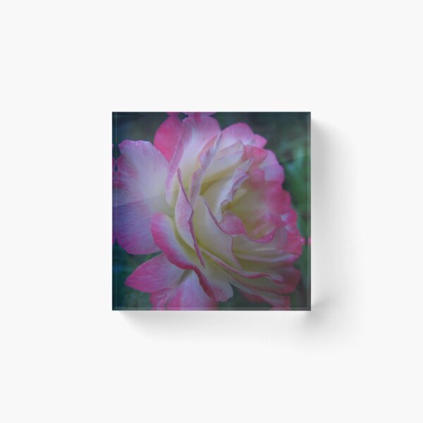 Item preview, Rose sublime designed and sold by MarianBendeth.