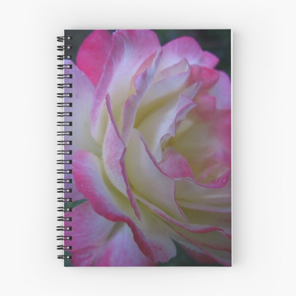 Item preview, Rose sublime designed and sold by MarianBendeth.