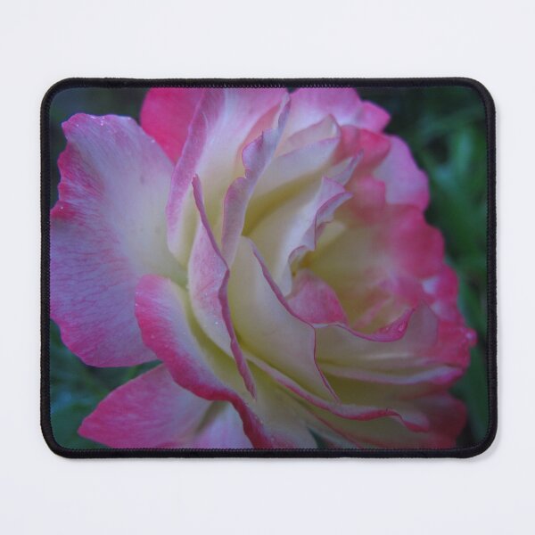 Item preview, Rose sublime designed and sold by MarianBendeth.