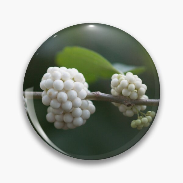 Item preview, Berries Ripening from Green to White designed and sold by Betty Mackey.
