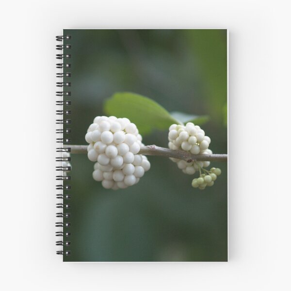 Item preview, Berries Ripening from Green to White designed and sold by Betty Mackey.