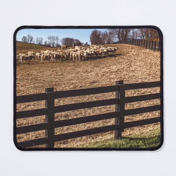 Item preview, Captive Audience designed and sold by Jim Love.