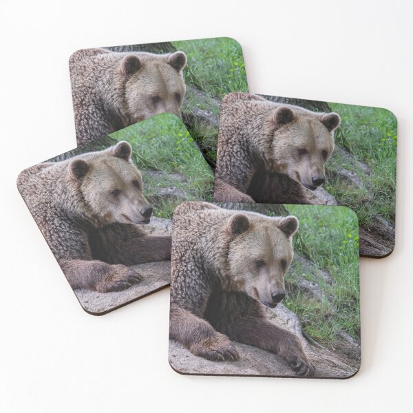 Item preview, Brown bear in the forest designed and sold by LubosChlubny.