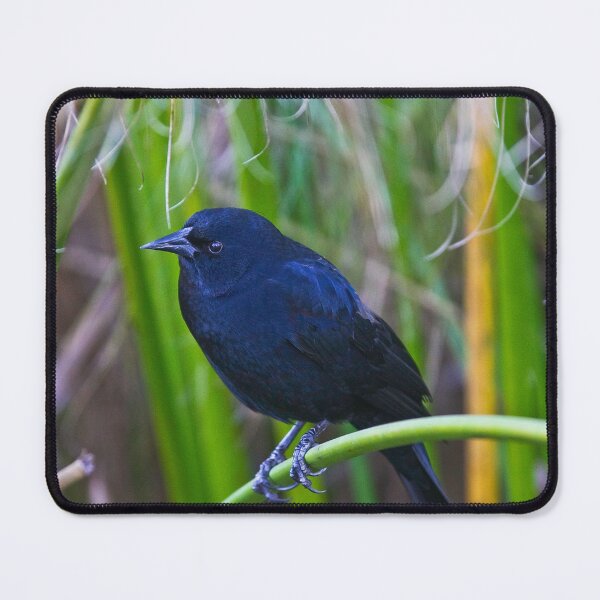 Item preview, Hiding in the Tall Grass designed and sold by heatherfriedman.
