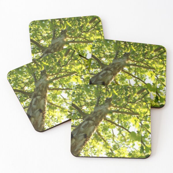 Item preview, Under the Sycamore Tree designed and sold by Paul David Wilson.
