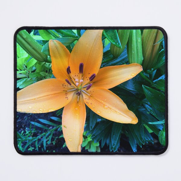 Item preview, Orange Flower designed and sold by L.D. Franklin.