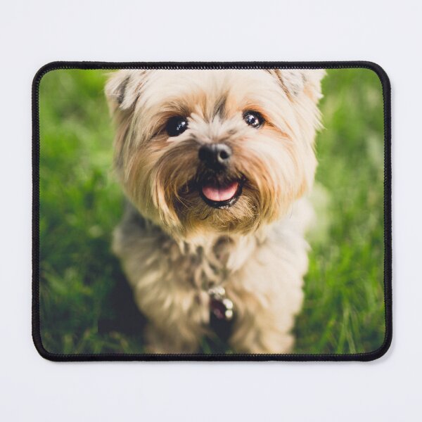 Item preview, Little dog designed and sold by RedTideShop.
