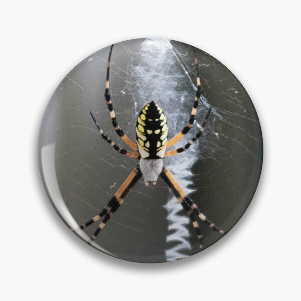 Item preview, Spider designed and sold by L.D. Franklin.