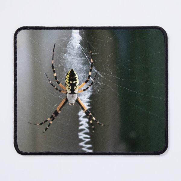 Item preview, Spider designed and sold by L.D. Franklin.
