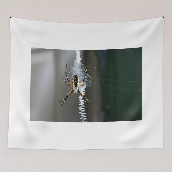 Item preview, Spider designed and sold by L.D. Franklin.
