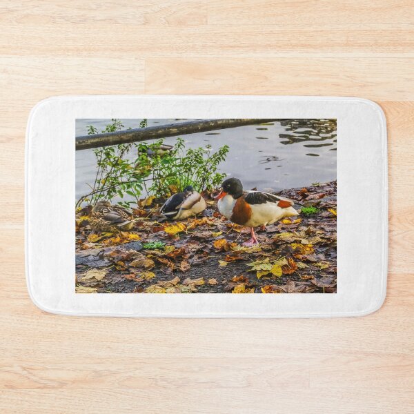 Item preview, Female Shelduck In Autumn designed and sold by Steve Purnell Photography.
