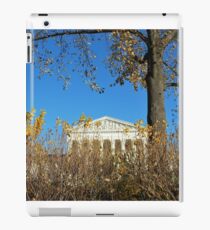 supreme court iPad Case/Skin