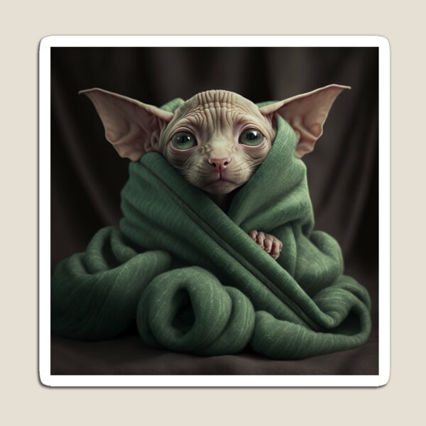 Winter Sphynx Cat Hairless Cats Wearing Coat in Snow Digital