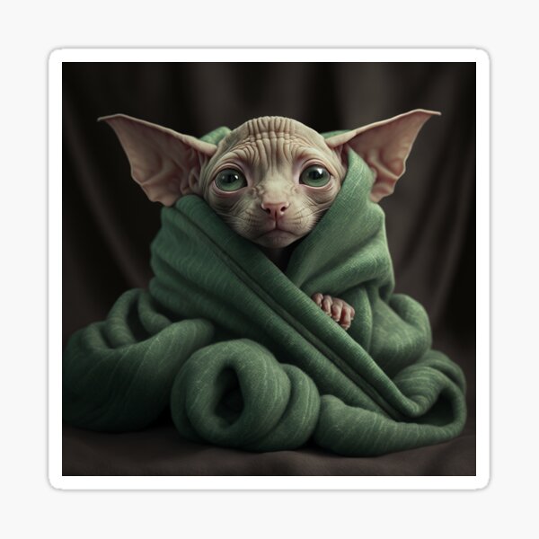 KIWI – Sphynx Cat Wear