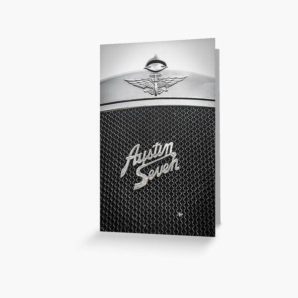 Austin Seven Fly Catcher Greeting Card