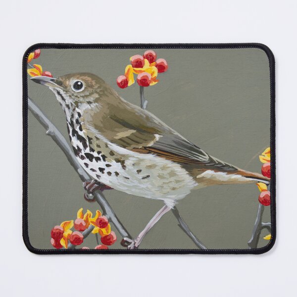 Item preview, Hermit Thrush on Bittersweet designed and sold by LauraWolfArtist.