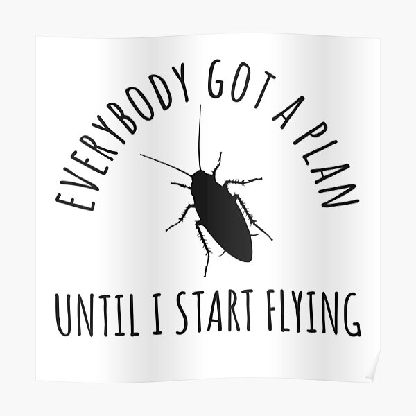 Everybody Got A Plan Until I Start Flying Cockroach Meme Poster For Sale By Sakaratul Redbubble 6145