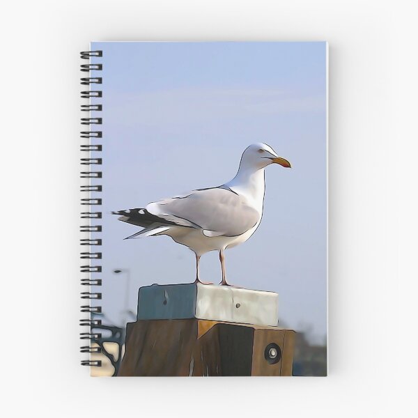 Aperçu de l'œuvre Oiseau de mer créée et vendue par Nikopol.