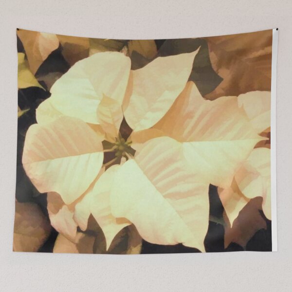 Item preview, Brown Cream Pointsettia designed and sold by lillianhibiscus.