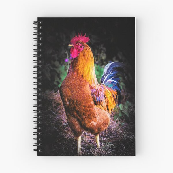 Item preview, Cockerel designed and sold by JEZ22.