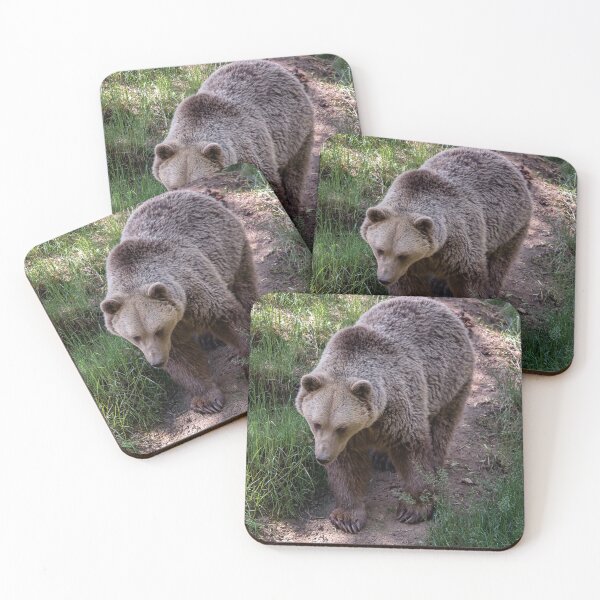 Item preview, Brown bear in the forest designed and sold by LubosChlubny.