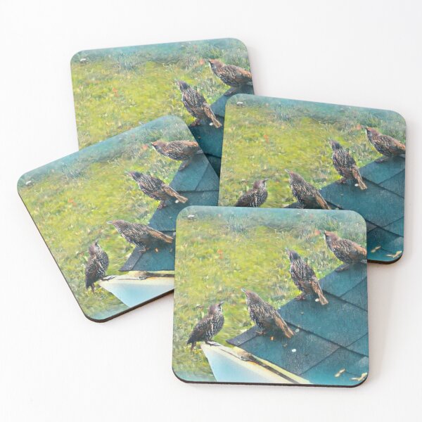 Item preview, 4 Sassy Starlings designed and sold by DianeBP.
